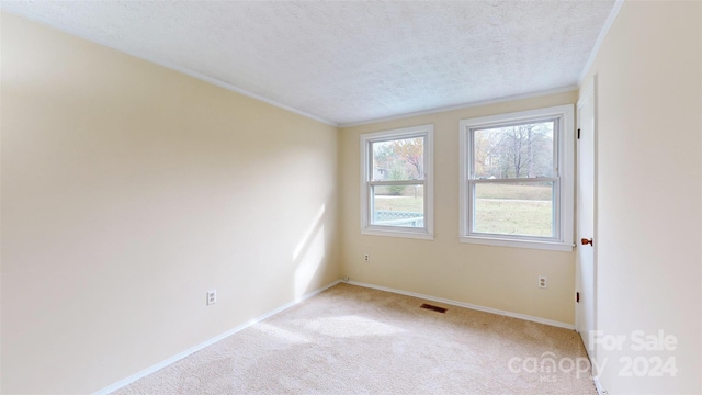 empty room featuring light carpet and a textured ceiling