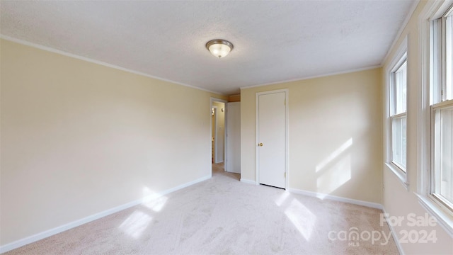 empty room with a textured ceiling, light colored carpet, and plenty of natural light