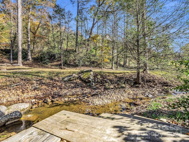 268 Firefly Cv, Lake Lure, NC 28746 - view of yard