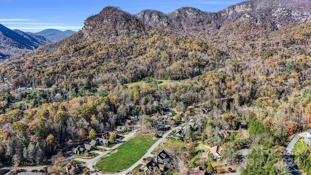 268 Firefly Cv, Lake Lure, NC 28746 - view of mountain backdrop with a heavily wooded area