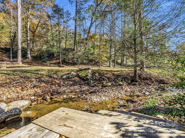 268 Firefly Cv, Lake Lure, NC 28746 - photo 31