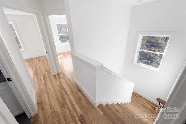 hallway with light hardwood / wood-style flooring