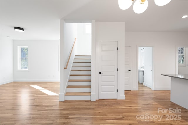 staircase with hardwood / wood-style flooring