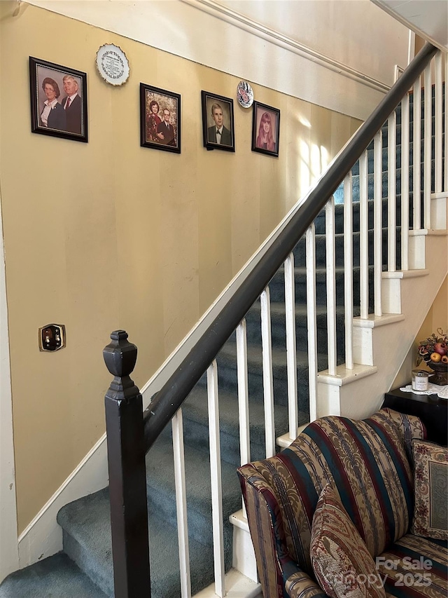 staircase featuring carpet