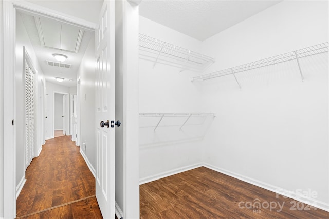 walk in closet featuring dark hardwood / wood-style flooring