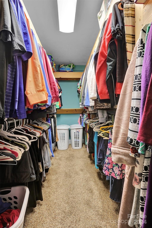 walk in closet with carpet flooring