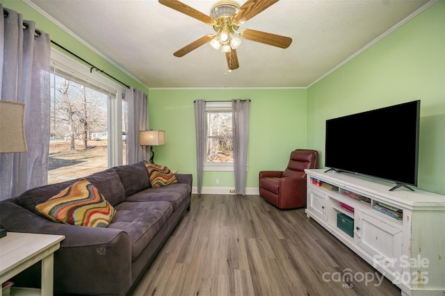 living room featuring hardwood / wood-style floors, plenty of natural light, ornamental molding, and a textured ceiling