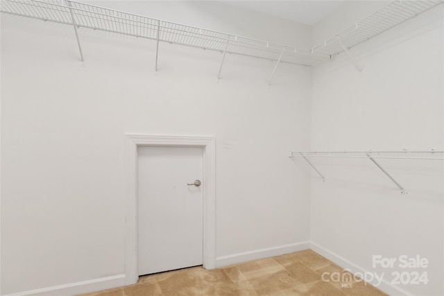 spacious closet featuring light carpet