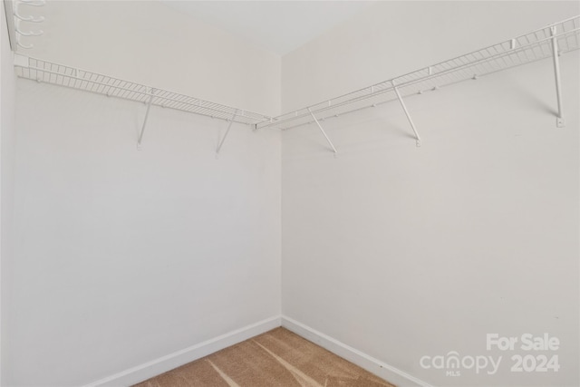 spacious closet featuring carpet floors