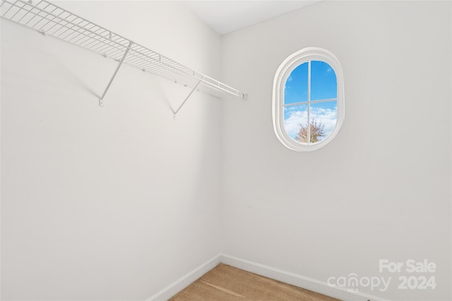 walk in closet featuring carpet flooring