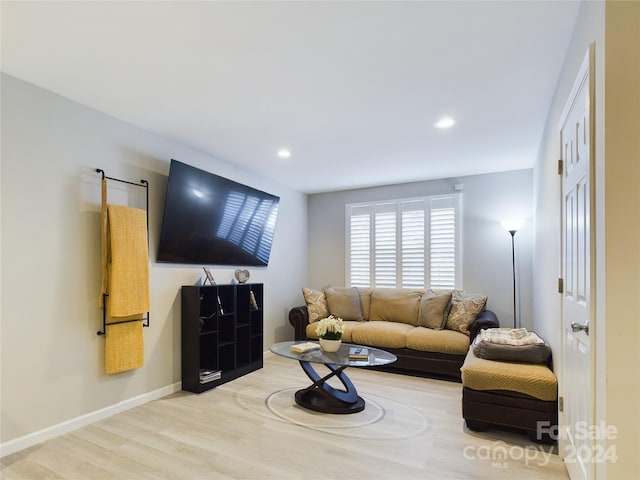 living room with light wood-type flooring