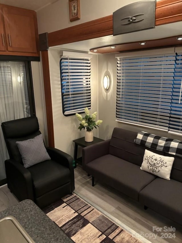 living room featuring light hardwood / wood-style floors