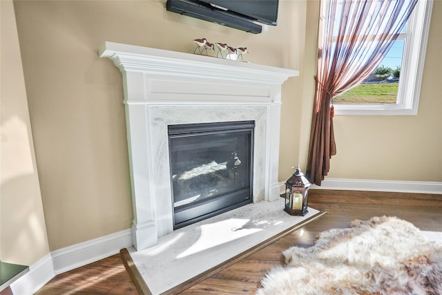 interior details featuring wood-type flooring and a fireplace