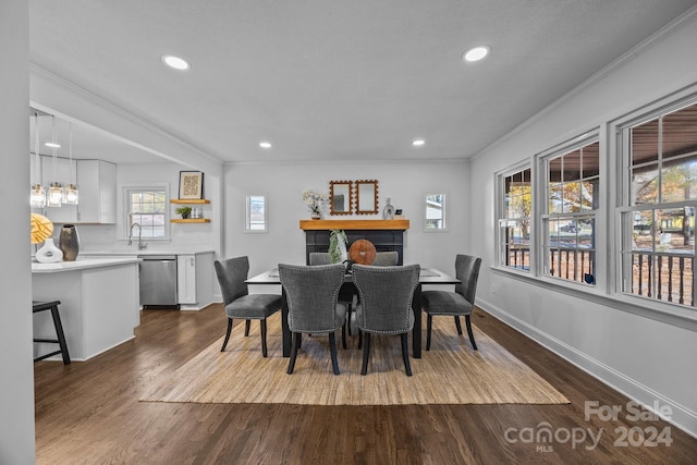 dining room featuring sink, ornamental molding, and hardwood / wood-style flooring