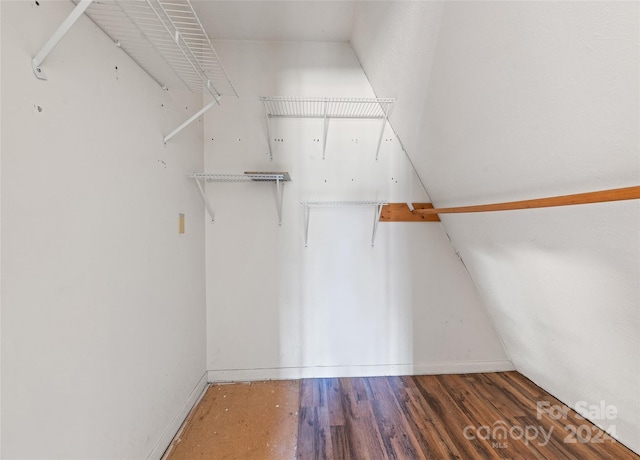 spacious closet with dark hardwood / wood-style flooring