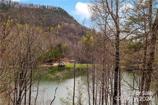 view of water feature with a mountain view