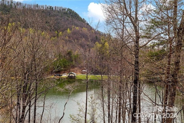 552 Lake Rd, Old Fort, NC 28762 - water view with a mountainous background and a forest
