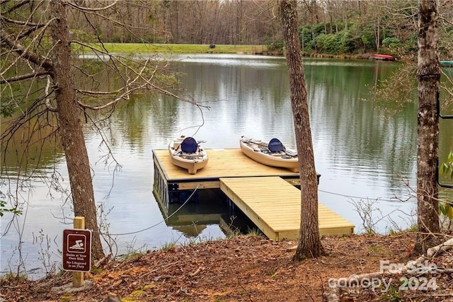 dock area with a water view