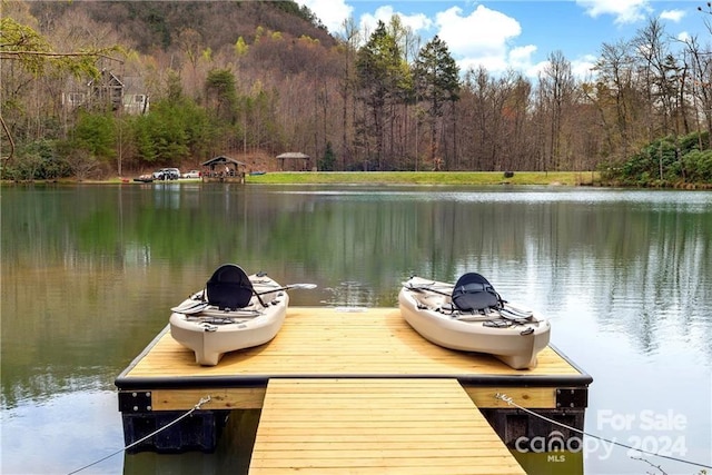 dock area featuring a water view