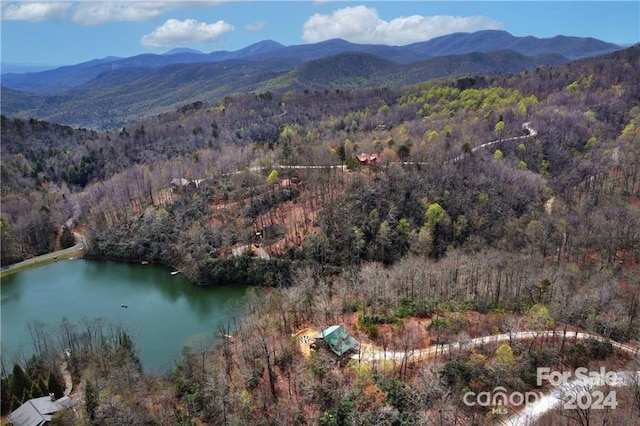 bird's eye view featuring a water and mountain view