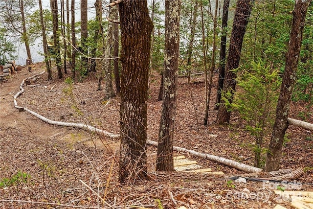 view of local wilderness