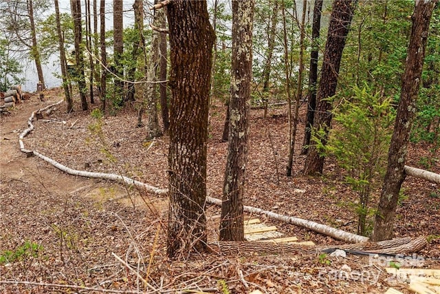 552 Lake Rd, Old Fort, NC 28762 - view of nature