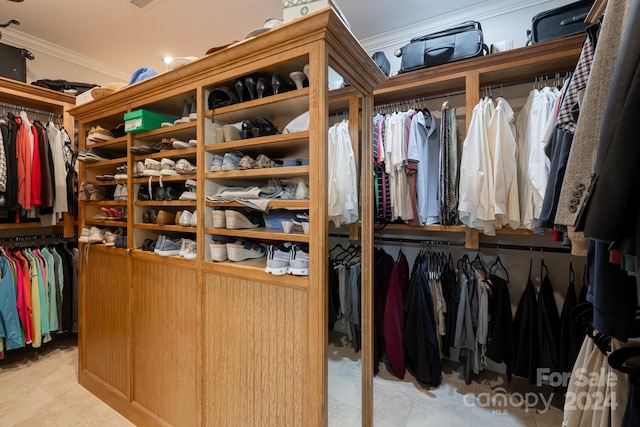 view of spacious closet