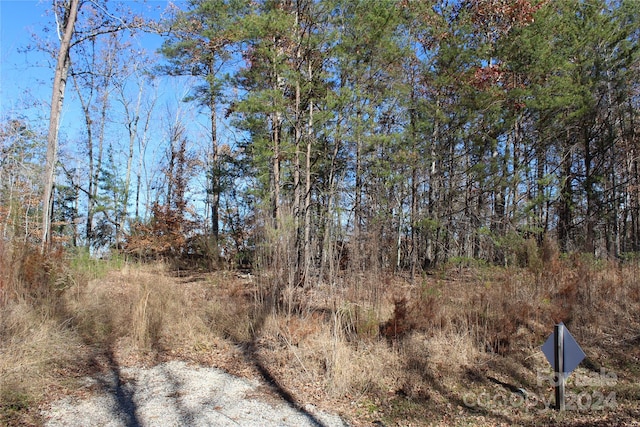 453 River Ridge Pkwy, Rutherfordton NC, 28139 land for sale