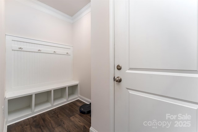 mudroom featuring crown molding and dark wood-type flooring