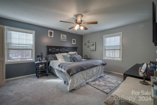 carpeted bedroom featuring multiple windows, ceiling fan, and a textured ceiling