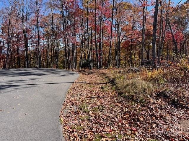 Listing photo 2 for LOT14 Great Sky Dr Unit 14, Banner Elk NC 28604