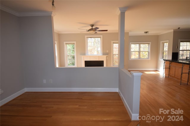 unfurnished living room featuring a healthy amount of sunlight and wood-type flooring