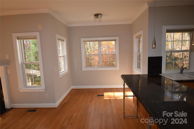 dining area with a wealth of natural light and light hardwood / wood-style floors