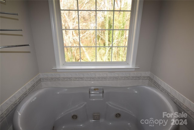 bathroom featuring a bathing tub