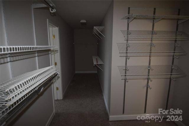 spacious closet featuring carpet floors