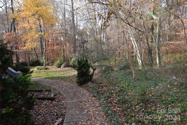 809 Pine Forest Rd, Charlotte, NC 28214 - photo 32
