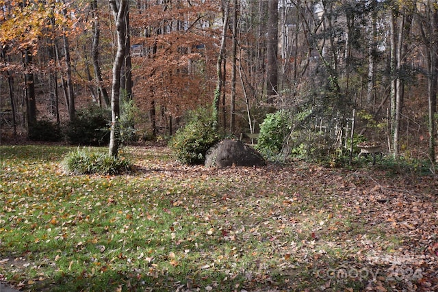 view of landscape