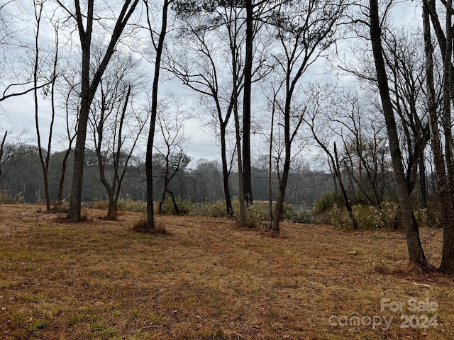 view of landscape