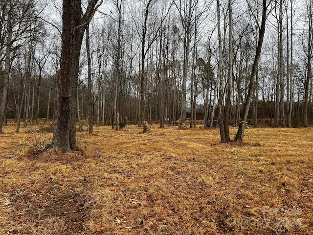 150A Lookout Dam Rd, Statesville, NC 28625 - view of tree filled area