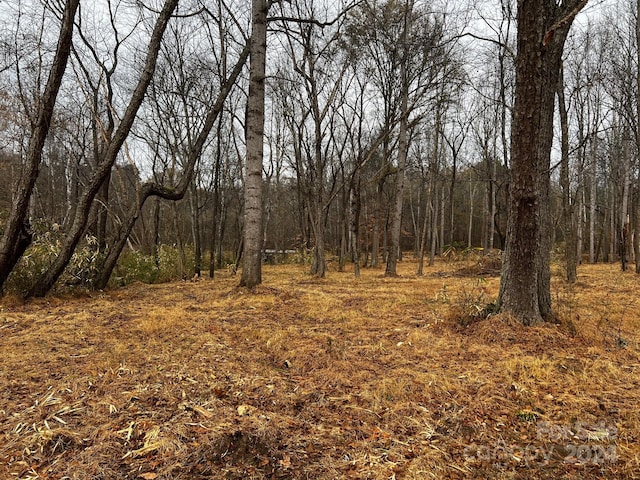 view of local wilderness