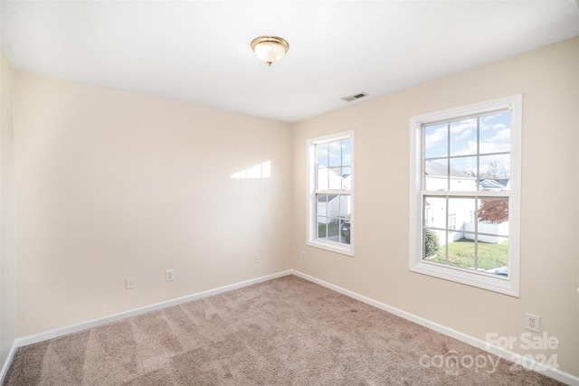 carpeted spare room featuring a healthy amount of sunlight