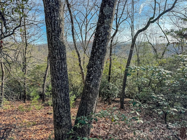 TRACT1 Dave Whitaker Rd, Horse Shoe, NC 28742