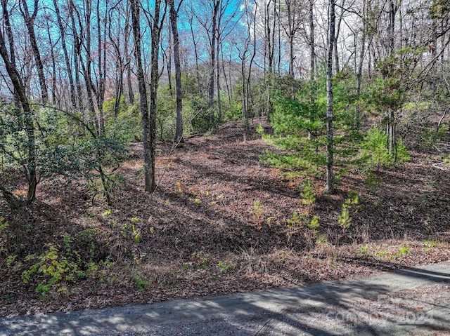 TRACT1 Dave Whitaker Rd, Horse Shoe, NC 28742