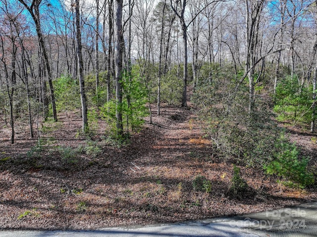 Listing photo 3 for TRACT1 Dave Whitaker Rd, Horse Shoe NC 28742