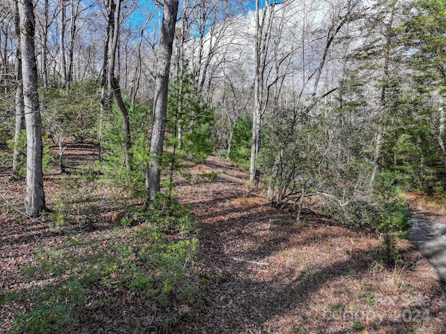 TRACT1 Dave Whitaker Rd, Horse Shoe, NC 28742