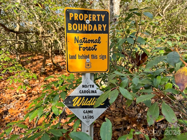 TRACT1 Dave Whitaker Rd, Horse Shoe, NC 28742