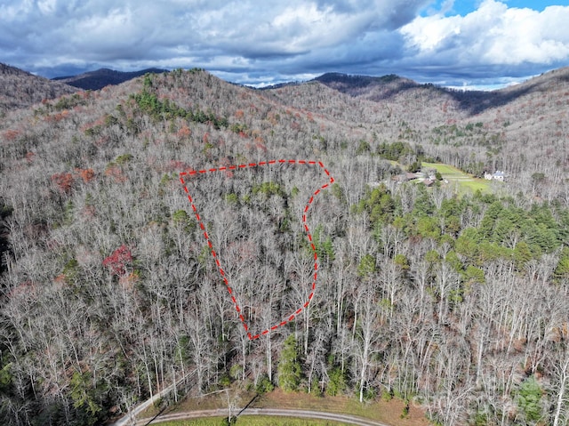 TRACT1 Dave Whitaker Rd, Horse Shoe, NC 28742