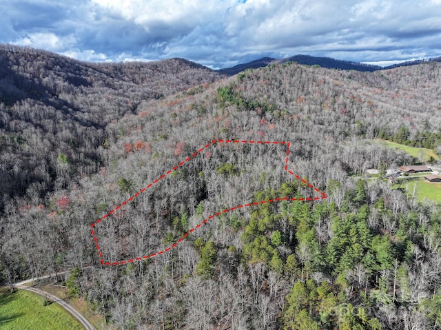 TRACT1 Dave Whitaker Rd, Horse Shoe, NC 28742