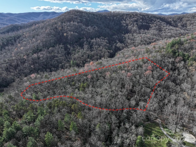 TRACT1 Dave Whitaker Rd, Horse Shoe, NC 28742