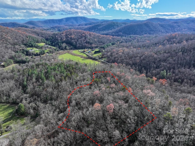 TRACT1 Dave Whitaker Rd, Horse Shoe, NC 28742